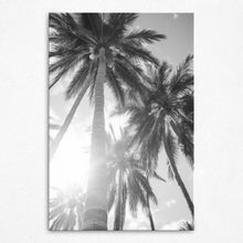 Load image into Gallery viewer, Sun-Kissed Palms - Canvas