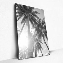 Load image into Gallery viewer, Sun-Kissed Palms - Canvas
