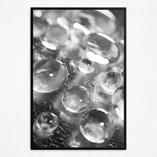 Load image into Gallery viewer, Luminous Essence - Framed