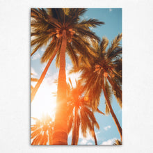 Load image into Gallery viewer, Sun-Kissed Palms - Canvas
