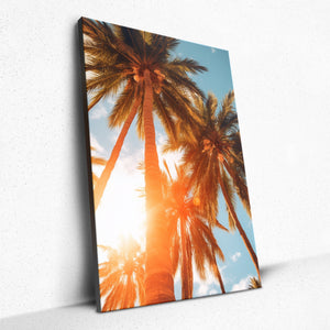 Sun-Kissed Palms - Canvas