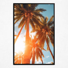 Load image into Gallery viewer, Sun-Kissed Palms - Framed
