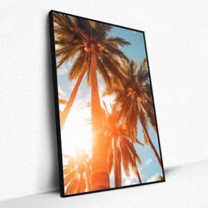 Sun-Kissed Palms - Framed