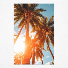 Load image into Gallery viewer, Sun-Kissed Palms - Poster
