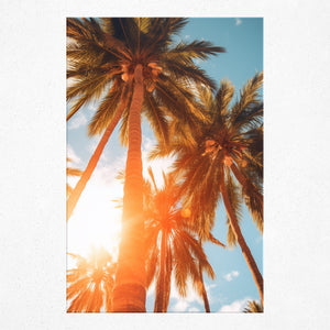 Sun-Kissed Palms - Poster